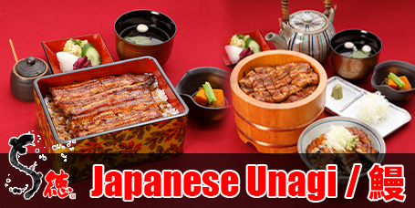 Japanese Unagi dishes